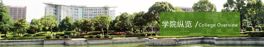 地址：杭州市钱塘区学林街280号