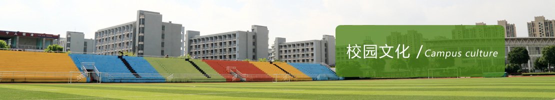 以立德树人为根本任务